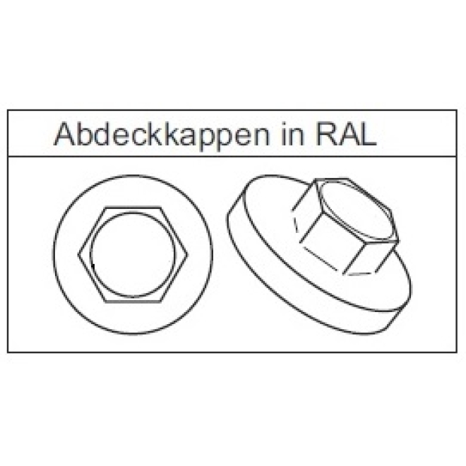 Abdeckkappen in RAL SW3/8, Ø 25mm, für eine farbige Abdeckung der  Fassadenbauschrauben -100 Stück, Schrauben